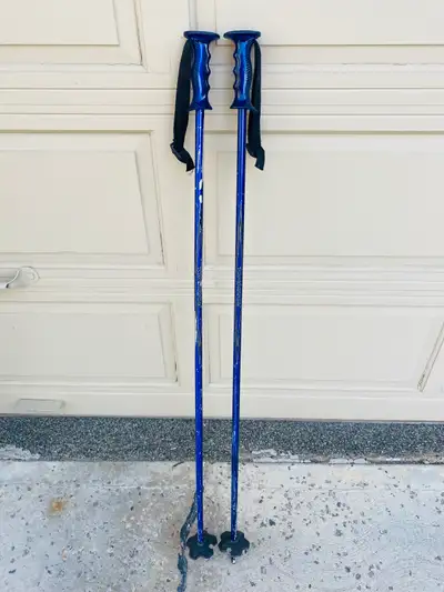 Rossignol Ski Poles ( 105cm / 42 inches), View more