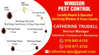 Bed Bug Treatment Services