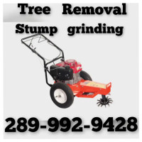 TREE REMOVAL AND STUMP GRINDING 289-992-9428.