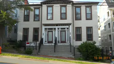Beautifully renovated , very large 2 bdrm flat on a ground floor of a 2 unit Victorian era building...
