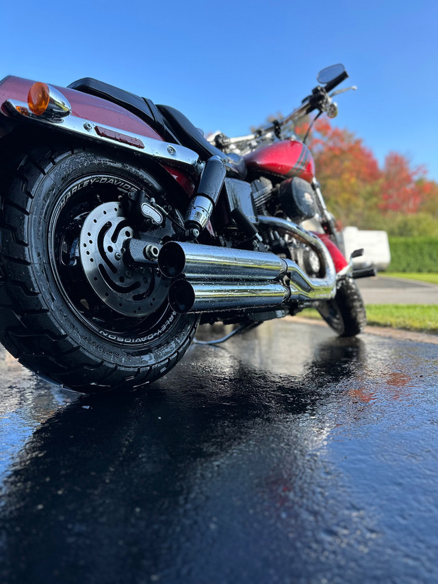 Harley Davidson fxdf-103 dyna fat bob dans Routières  à Lanaudière - Image 3