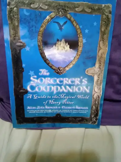 THE SORCERER'S COMPANION, View more