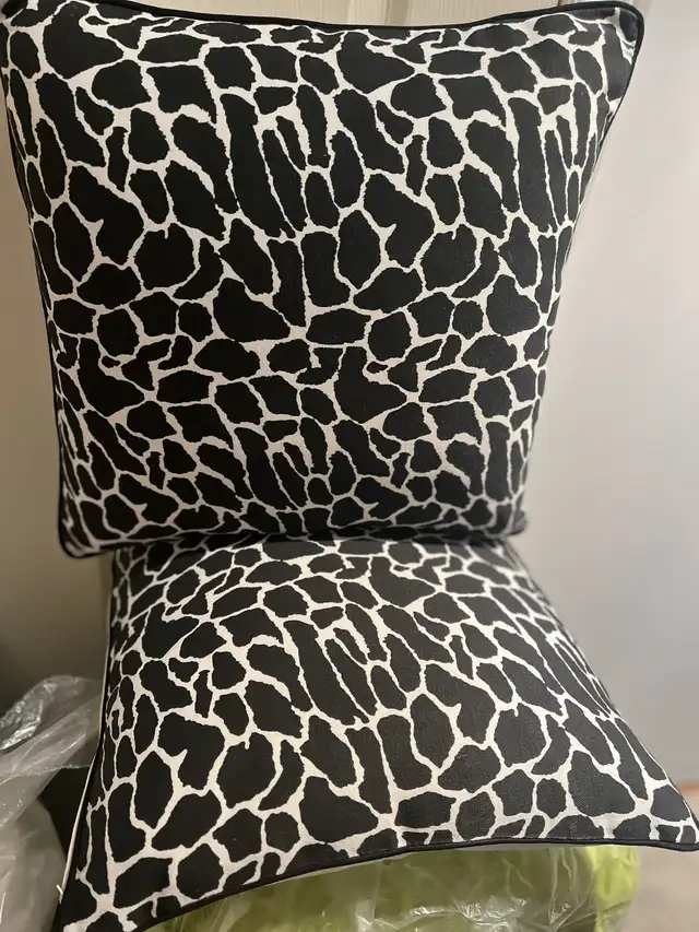 Decorative pillows , inserts , downsizing asap64520010215810121