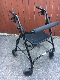 Evolution Walker in Great Condition - Price Reduced
