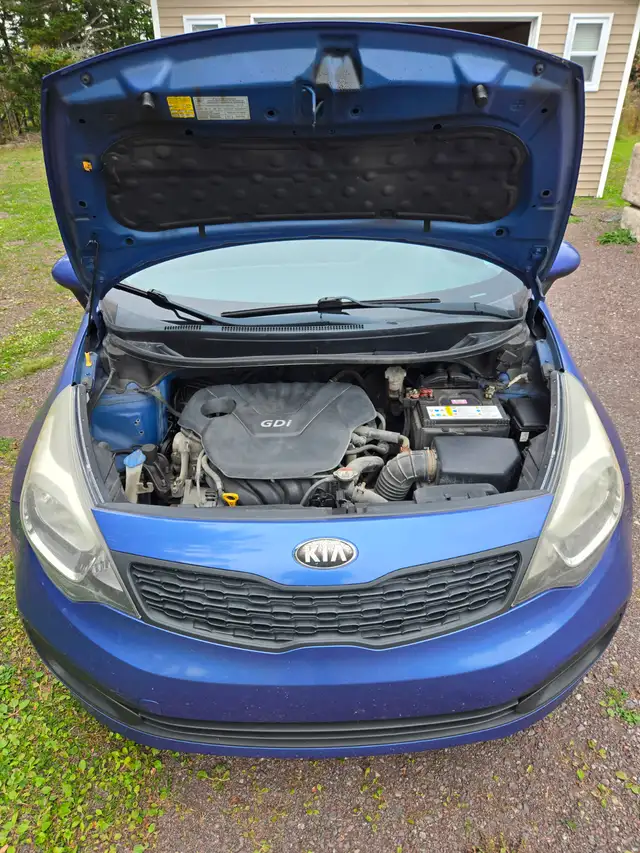2014 Kia Rio591903162767790084