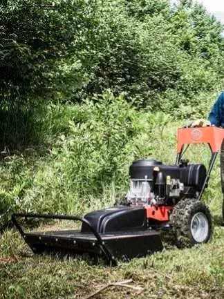 Brush Removal/Brush Mowing