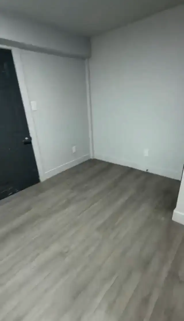 4 Bedroom Basement in Vaughan in Long Term Rentals in Mississauga / Peel Region - Image 3