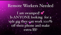 Work from home opportunity 