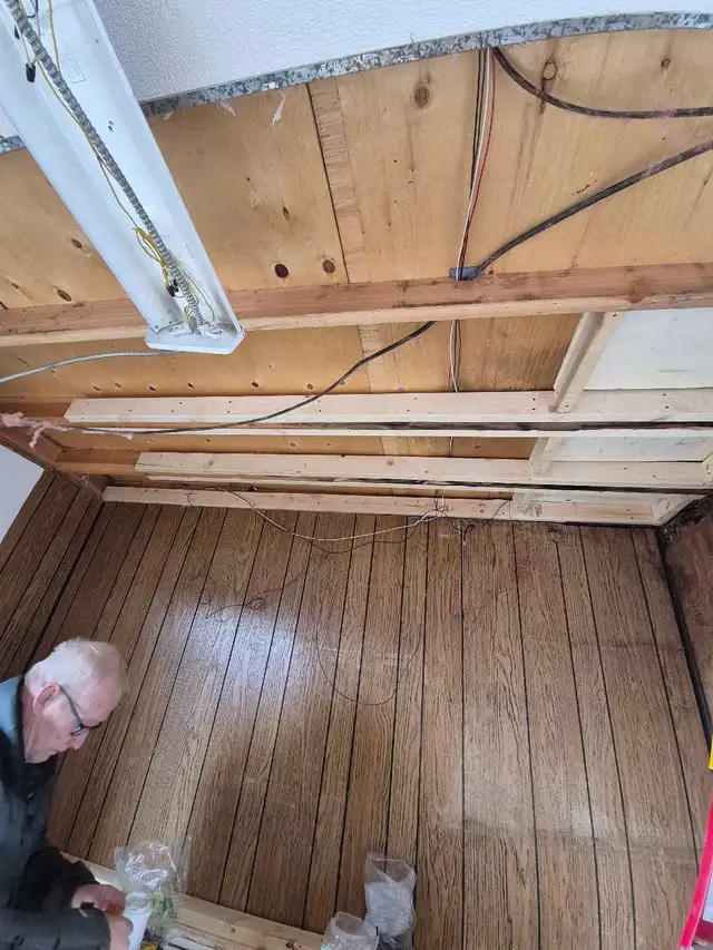 Professional Carpenter 414906536879073281