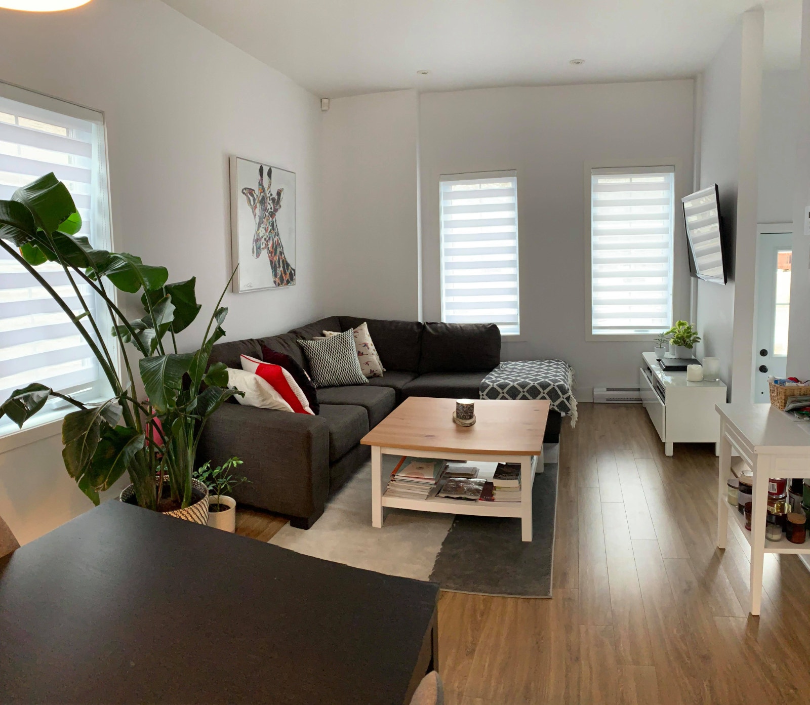 Grand logement 5 1/2 à Louer - Bord de l'eau — photo 3
