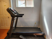 ONLINE AUCTION: Horizon Treadmill