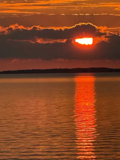 I’ve got a cozy room available in my home for a student looking to stay until about April or May. Pe...