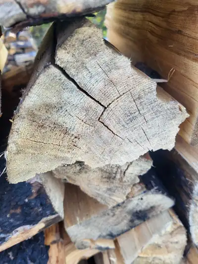 Dry seasoned pine 300 per full 4x4x8 cord 150 for true 4x4x4 half cord Wood is salvaged from wild fi...