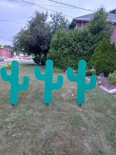 Cactus boards. approximately 4 ft tall. on s t a k e, View more