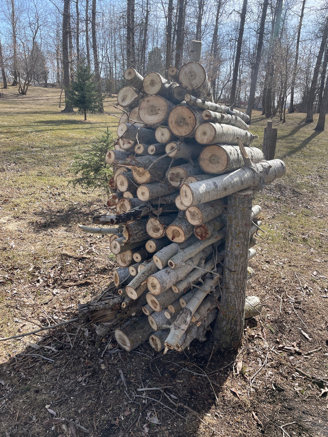 Fire wood  or logs for sale  dans Autre  à Comté de Strathcona - Image 2