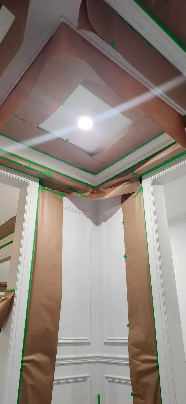 Experienced Professional Painters569242524950220804