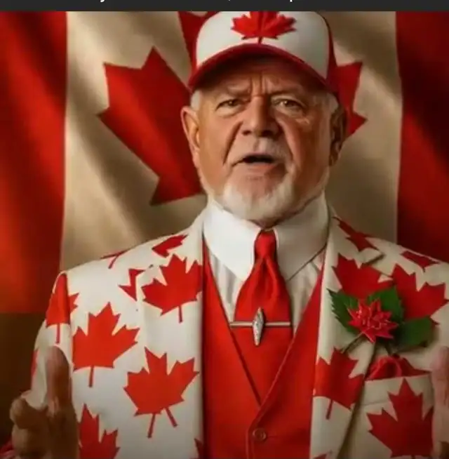 LIMOUSINE in Friendship & Networking in St. Catharines - Image 11