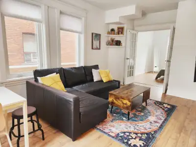 Bright, fully furnished one-bedroom in Downtown, View more