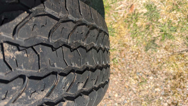 Starfire 235/65R17 all season tires x4  in Tires & Rims in Moncton - Image 4
