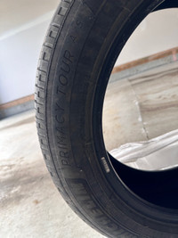 Michelin All Weather tires (225/55R18) + free  New Floor Mats
