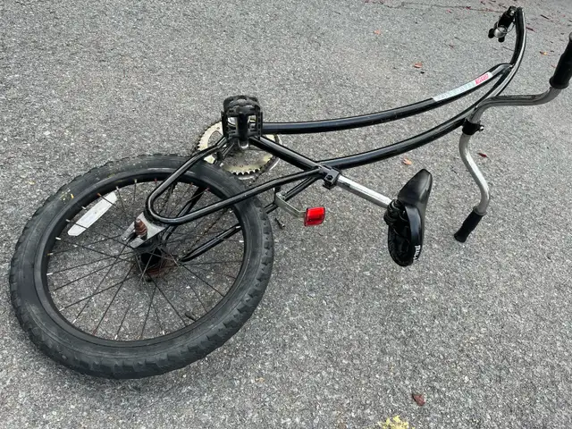 Giraffe Trail-A-Bike girafe tandem in Kids in City of Montréal - Image 5