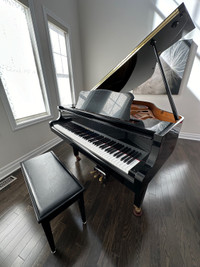 Yamaha baby  grand piano with the bench 