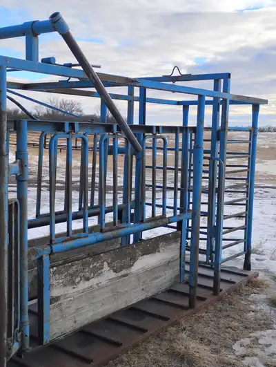 Cattle squeeze, View more