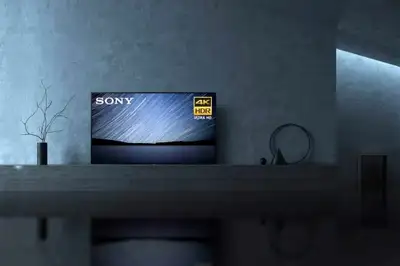Sony OLED 4K HDR Smart Android TV, 55 inches (Model XBR55A1E). Purchased in 2019 with the 65″ versio...