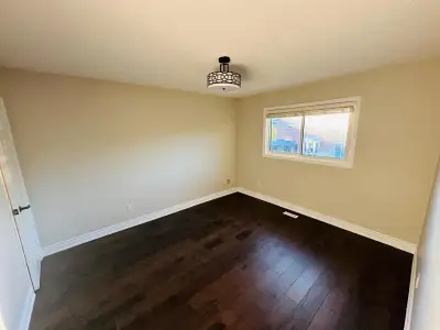 Room available for rent immediately
