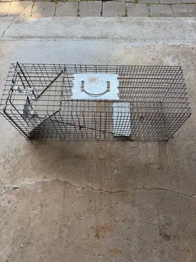 Havahart large easy set 1 door animal trap