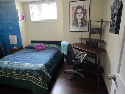 Private room located in the lower level of the house, with shared accomodations (bathroom, living ro...