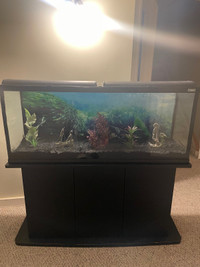 50 gallon with accessories