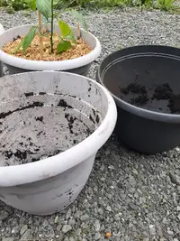Planting pots/buckets