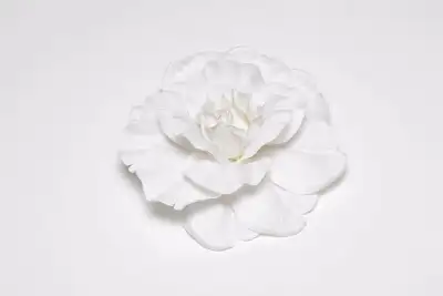 Grosse fleur blanche 5 ½’’ (neuve), View more