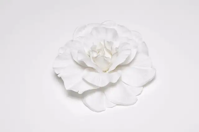 Grosse fleur blanche 5 ½’’ (neuve) in Costumes in Sherbrooke - Image 2