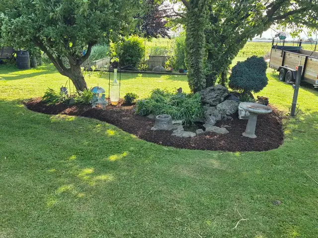 spring yard clean ups426574696552212484