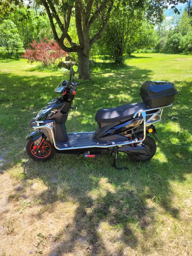 new e bikes494505941784995843