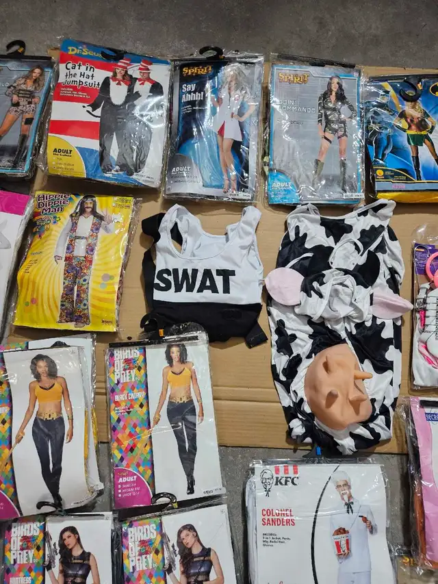 Halloween Costumes in Other in Mississauga / Peel Region - Image 4