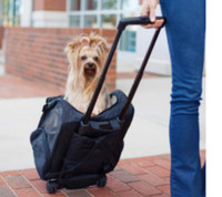 Backpack  or Roll Around Travel Dog Carrier  4-in-1