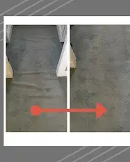 professional Carpet Repair & Installation Services, View more