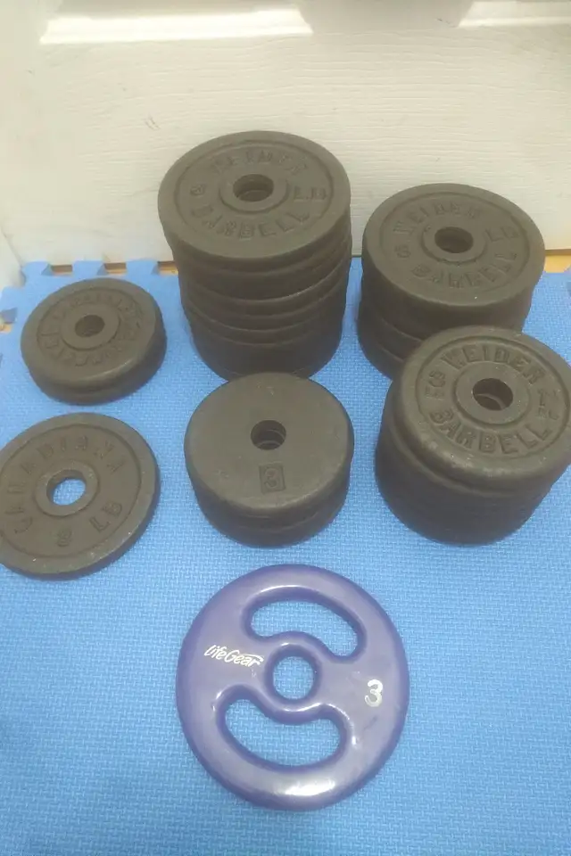 weight plates ($1.35/lbs) in Exercise Equipment in Delta/Surrey/Langley - Image 9