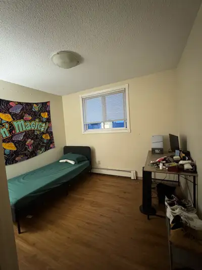 Bedroom Available for rent (female)