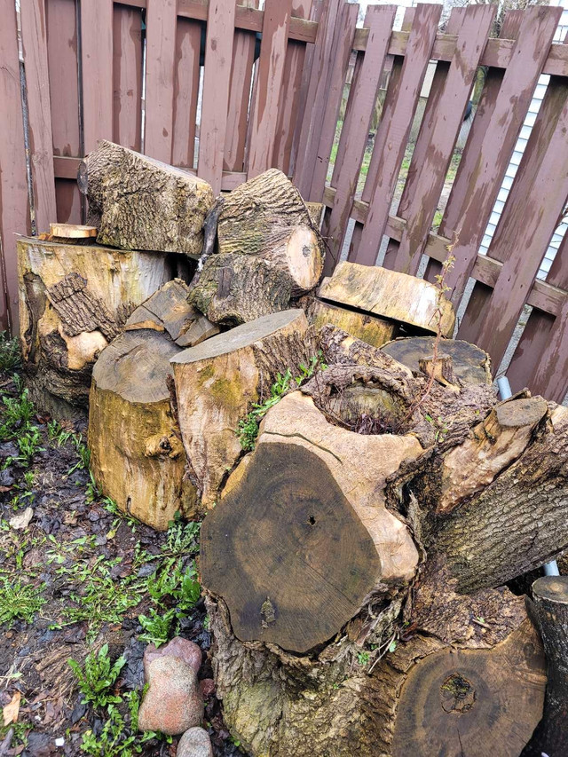Free wood. in Other in Sault Ste. Marie