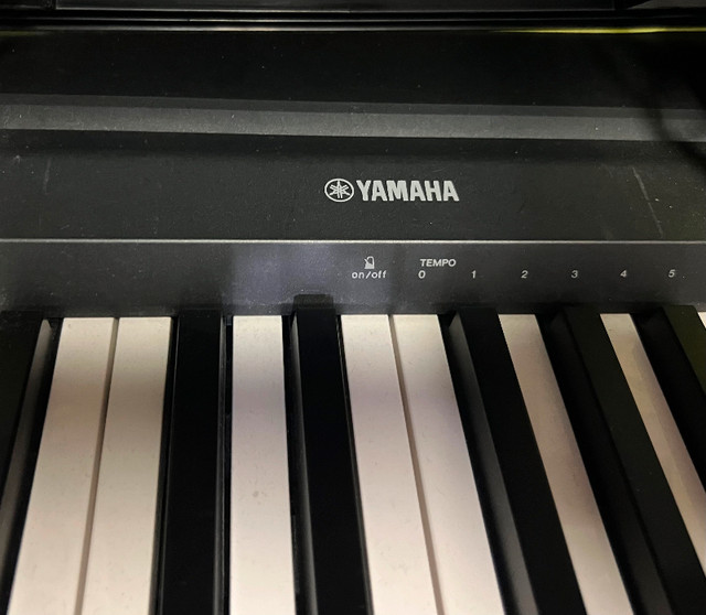 Yamaha P-45 digital keyboard, 88 keys w/ stand in Pianos & Keyboards in Banff / Canmore - Image 2