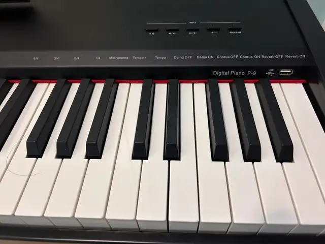 Aria P-9 Piano 88 Weighted Keys with Stand in Pianos & Keyboards in City of Toronto - Image 5