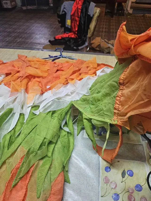 Costume Oiseau, medium in Costumes in Sherbrooke - Image 10