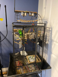 Bird cage (WAS $300)
