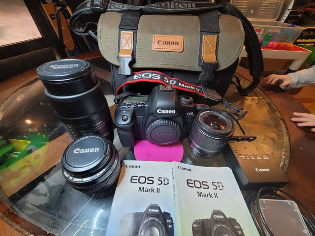 Professional Canon 5D 50 mm F1.4 - 100- 200mm complete. Package in Cameras & Camcorders in Prince George