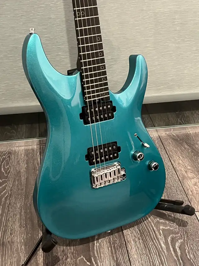 Schecter AM-6 (Aaron Marshall Signature Guitar) in Guitars in City of Toronto - Image 3