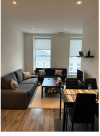 Core Downtown, Fully Furnished 1Br Apartment w/Wi-Fi, TV and W/D